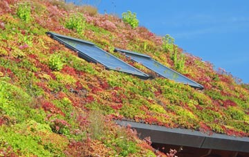 Askam In Furness living roof systems